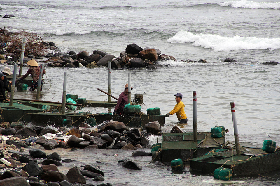 Phú Yên: Ngư dân khẩn trương chạy bão Noru, chính quyền cấm biển từ 15 giờ - Ảnh 2