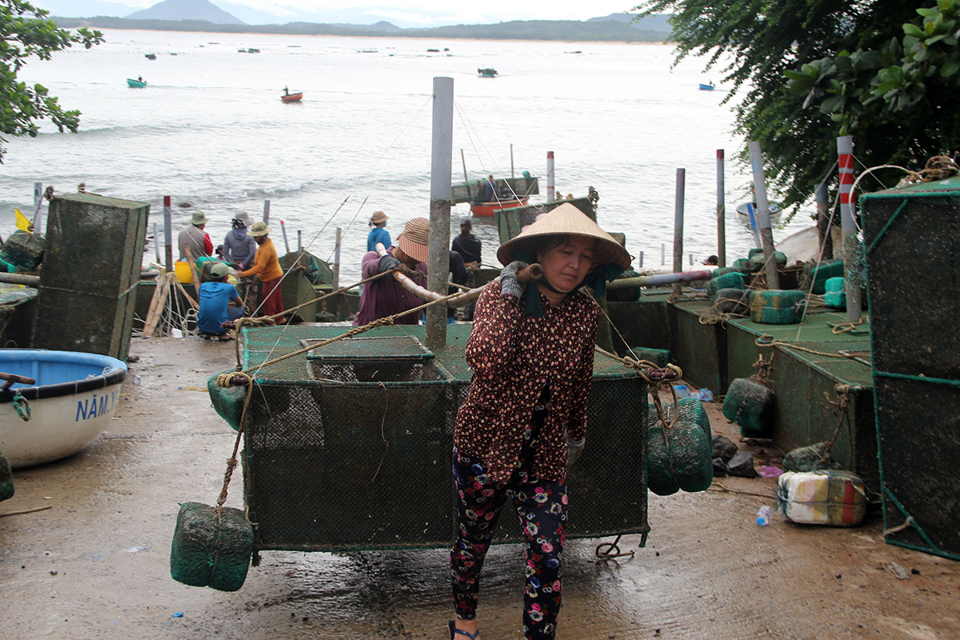 Phú Yên: Ngư dân khẩn trương chạy bão Noru, chính quyền cấm biển từ 15 giờ - Ảnh 3