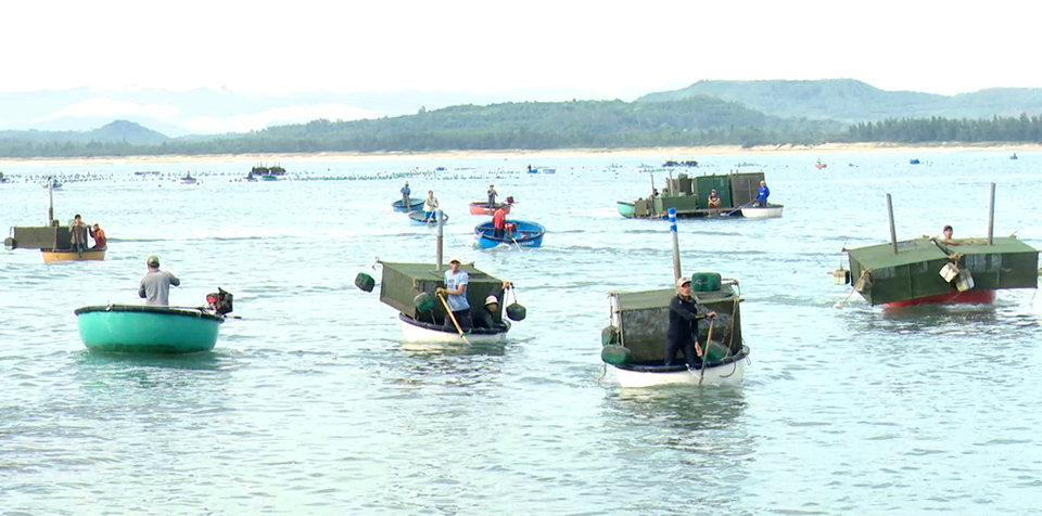 Phú Yên: Ngư dân khẩn trương chạy bão Noru, chính quyền cấm biển từ 15 giờ - Ảnh 4