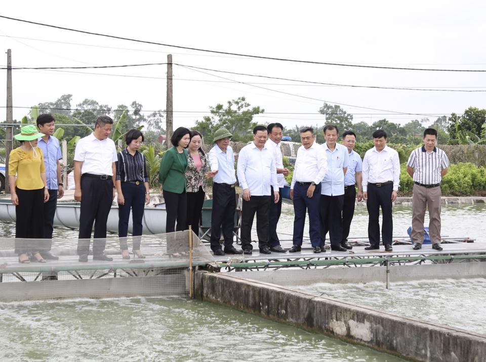 B&iacute; thư Th&agrave;nh ủy H&agrave; Nội Đinh Tiến Dũng v&agrave; c&aacute;c đồng ch&iacute; Thường trực Th&agrave;nh ủy tham quan m&ocirc; h&igrave;nh n&ocirc;ng nghiệp tại huyện Ứng H&ograve;a. Ảnh: Thanh Hải