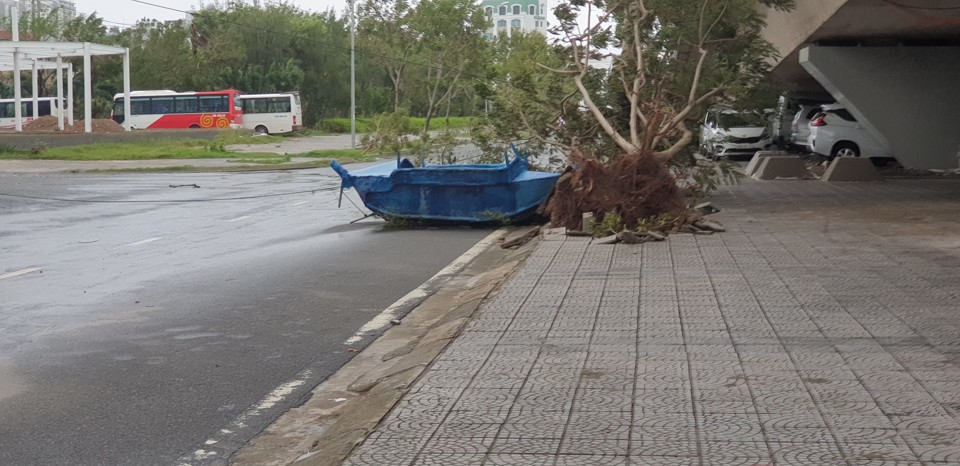 Đà Nẵng sau bão đổ bộ: Chưa có thiệt hại về người, cây đổ ngổn ngang - Ảnh 4