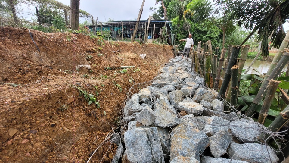 Vườn của gia đ&igrave;nh &ocirc;ng L&ecirc; C&ocirc;ng Quang ở x&atilde; Cẩm Th&agrave;nh, huyện Cẩm Xuy&ecirc;n bị sạt lở nghi&ecirc;m trọng phải&nbsp; gia cố, xử l&yacute; bằng cọc tre, rọ đ&aacute;. Ảnh: Văn Chương