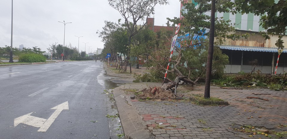 Đà Nẵng sau bão đổ bộ: Chưa có thiệt hại về người, cây đổ ngổn ngang - Ảnh 3