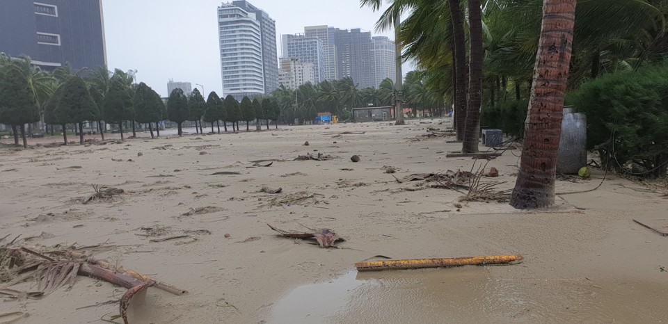 Đà Nẵng sau bão đổ bộ: Chưa có thiệt hại về người, cây đổ ngổn ngang - Ảnh 7