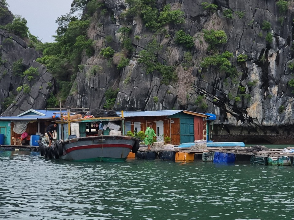 Việc th&aacute;o dỡ đang gặp nhiều kh&oacute; khăn khi lượng thủy sản chưa ti&ecirc;u thụ tr&ecirc;n c&aacute;c cơ sở c&ograve;n rất lớn. Ảnh: Vĩnh Qu&acirc;n