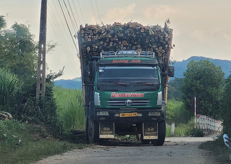 Xe chở gỗ keo vượt qu&aacute; chiều d&agrave;i, chiều cao th&agrave;nh th&ugrave;ng hoạt động rầm rộ tr&ecirc;n c&aacute;c tuyến đường ở tỉnh H&agrave; Tĩnh