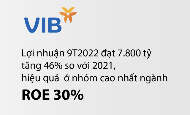 VIB công bố kết quả kinh doanh 9 tháng năm 2022 - Ảnh 1