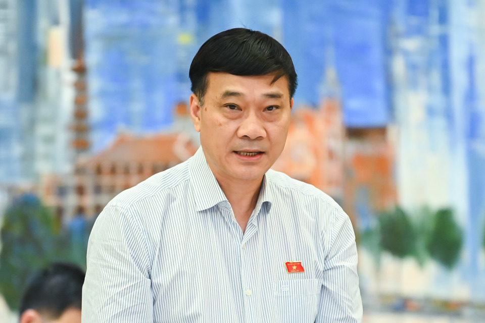 Chủ nhiệm Ủy ban Kinh tế của Quốc hội Vũ Hồng Thanh ph&aacute;t biểu. Ảnh: Quochoi.vn