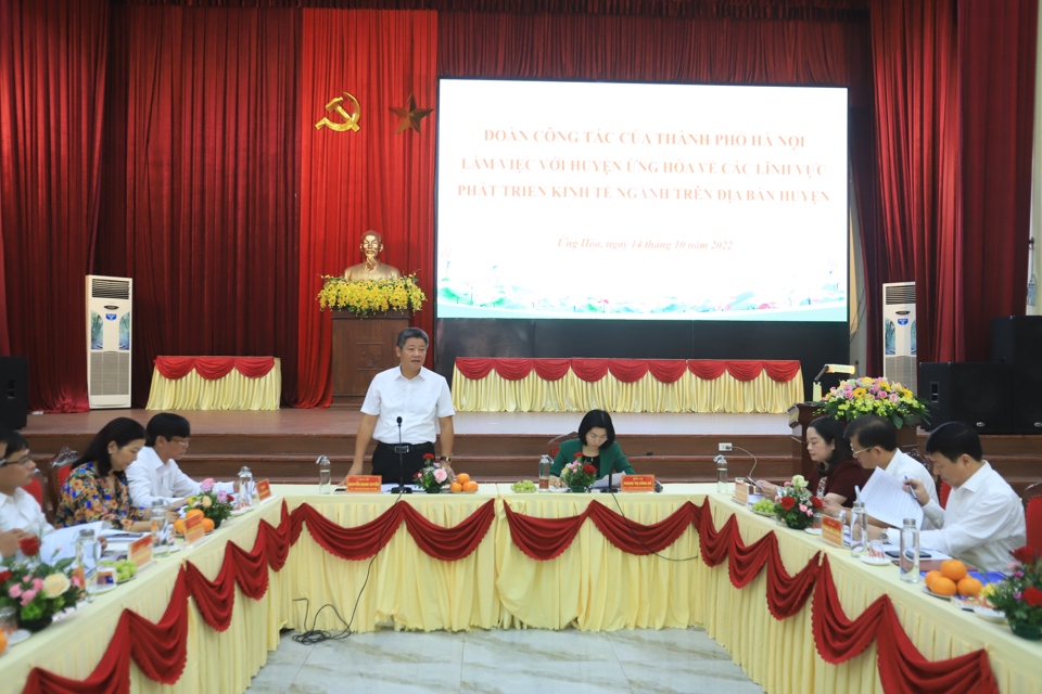 Ph&oacute; Chủ tịch UBND TP H&agrave; Nội Nguyễn Mạnh Quyền ph&aacute;t biểu.