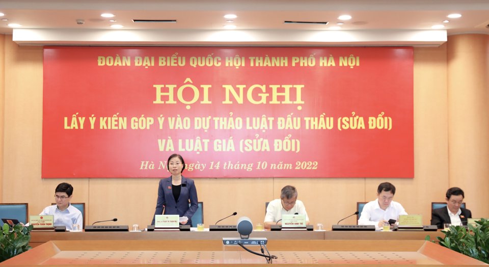 Ph&oacute; trưởng Đo&agrave;n ĐB Quốc hội TP H&agrave; Nội Phạm Thị Thanh Mai ph&aacute;t biểu kết luận Hội nghị