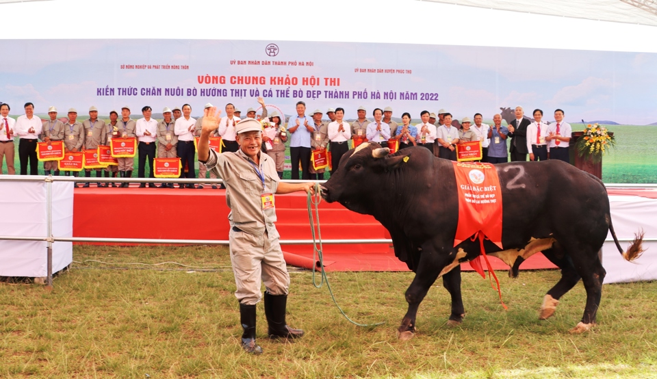 "Nam vương" b&ograve; của phần thi c&aacute; thể b&ograve; vỗ b&eacute;o&nbsp; (giải Đặc biệt) tại Hội thi. Ảnh: &Aacute;nh Ngọc&nbsp;