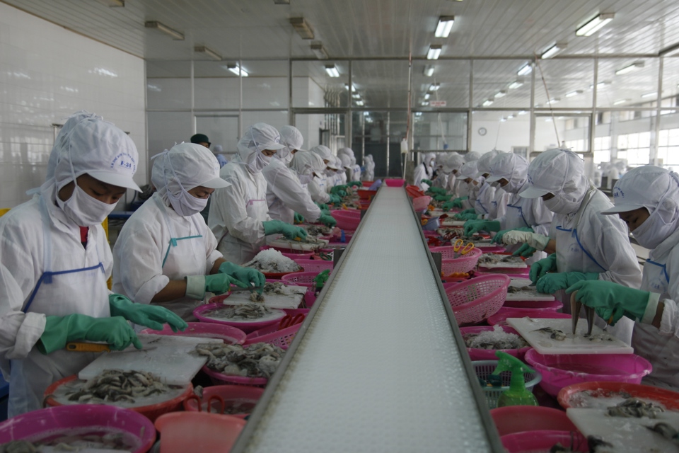 Xuất khẩu thủy sản: Bạn yêu thích hải sản tươi ngon? Bạn muốn biết rõ được quá trình xuất khẩu thủy sản từ Việt Nam ra thị trường quốc tế? Hãy xem những hình ảnh đầy màu sắc và đa dạng của các loại hải sản đang được xuất khẩu, giúp bạn có cái nhìn chi tiết về ngành công nghiệp này.