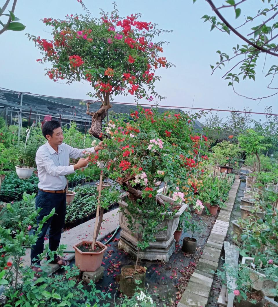 Anh Kiều Bình Thanh (xã Tích Giang, huyện Phúc Thọ) thu nhập hàng tỷ đồng mỗi năm nhờ trồng hoa. Ảnh: Ánh Ngọc
