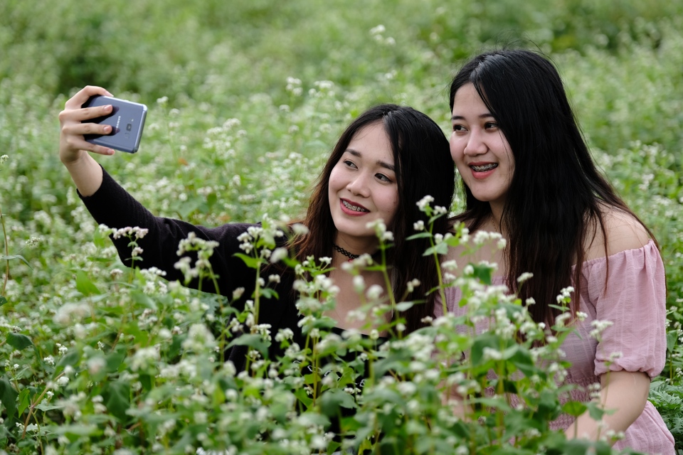 Du kh&aacute;ch check in với hoa tam gi&aacute;c mạch ở H&agrave; Giang.