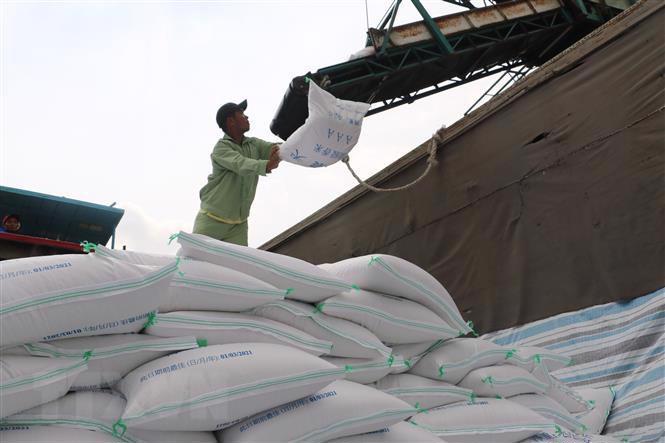 Xuất khẩu gạo (ảnh minh họa)