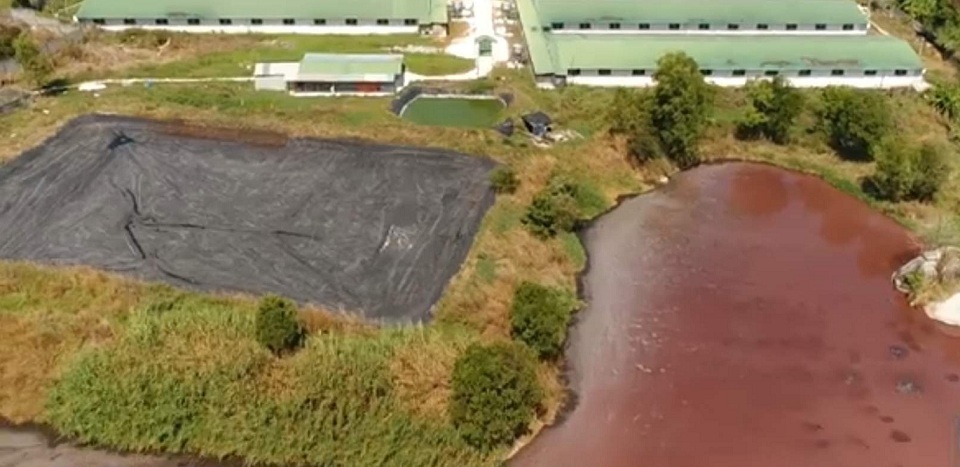 Khu vực chuồng trại nu&ocirc;i 2.4000 con heo v&agrave; hệ thống bể chứa nước thải của trang trại heo ở Xu&acirc;n Lộc. Ảnh chụp từ flycam