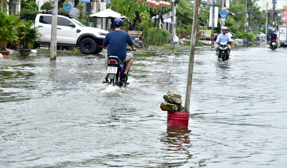 Đường Nguyễn C&ocirc;ng Trứ, phường 8, TP C&agrave; Mau.