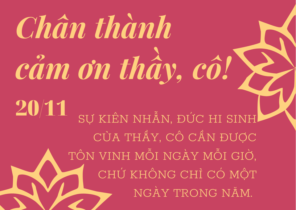 Lời chúc đơn giản, ngắn gọn, ý nghĩa nhân ngày Nhà giáo Việt Nam 20/11 - Ảnh 6