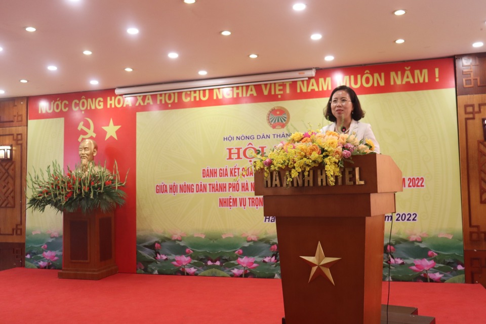 Ph&oacute; Chủ tịch T.Ư Hội N&ocirc;ng d&acirc;n Việt Nam B&ugrave;i Thị Thơm ph&aacute;t biểu tại hội nghị.