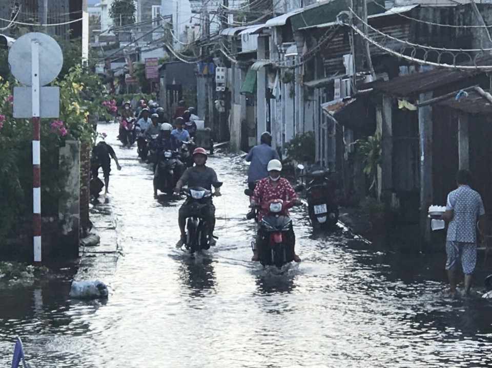 Thị trến Năm Căn huyện Năm Căn ngập &uacute;ng.