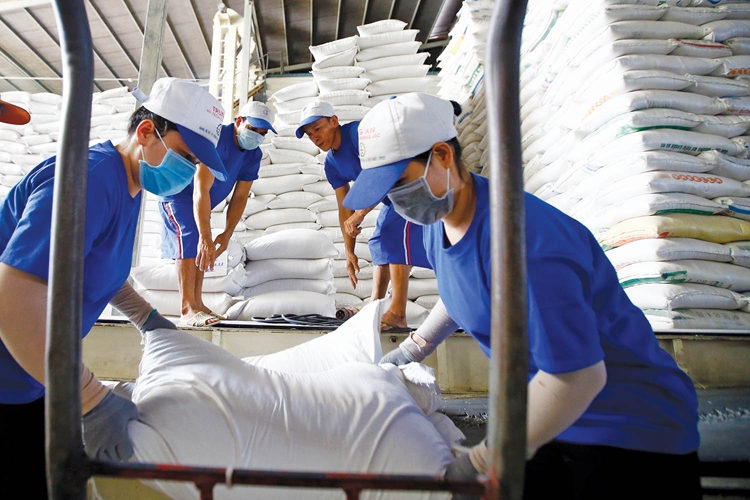 Khối lượng gạo Việt Nam xuất khẩu tăng mạnh trong năm 2022. Ảnh: Baochinhphu.vn
