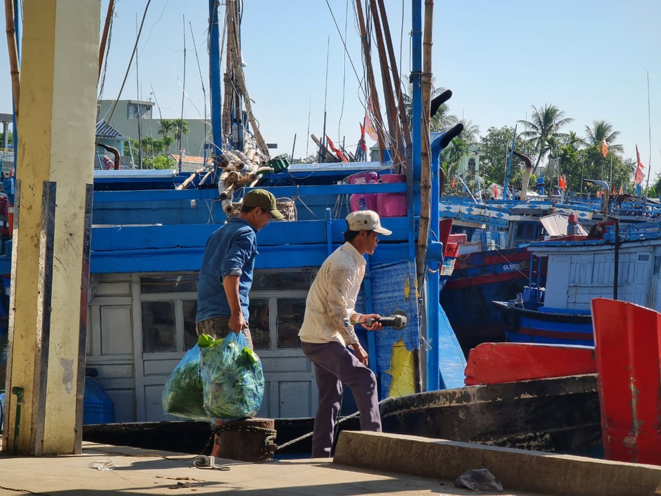 Thiếu hụt lao động nghề biển đang l&agrave; nỗi lo của nhiều chủ t&agrave;u.