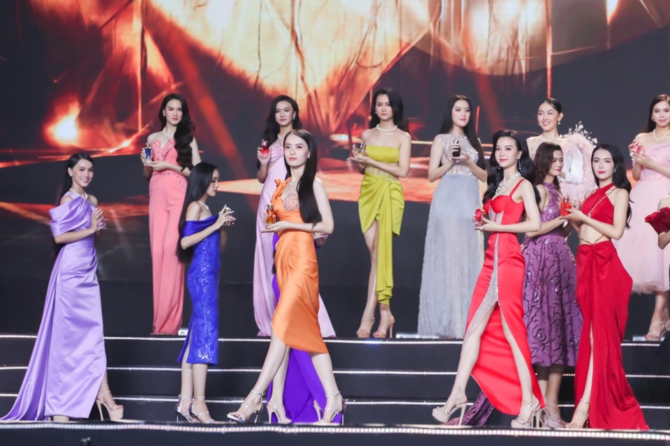 Chung khảo Hoa hậu Việt Nam 2022 bị chê - Ảnh 9