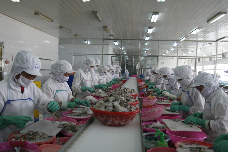 Chế biến thủy sản xuất khẩu tại tỉnh Cần Thơ. Ảnh: Phạm Hùng