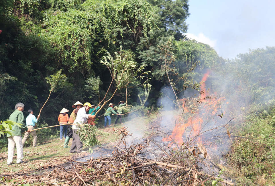 Diễn tập chữa cháy rừng tại huyện Quốc Oai tháng 11/2022. Ảnh: Ngọc Ánh