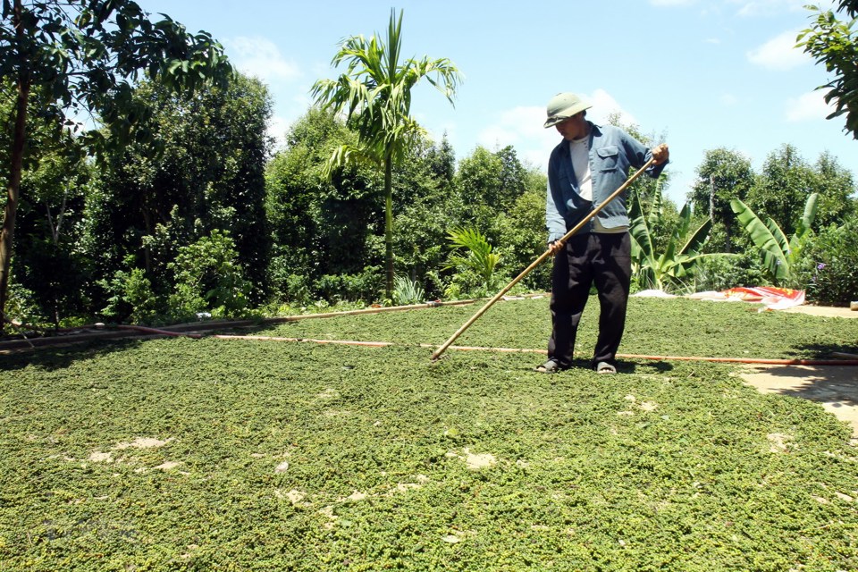 Gi&aacute; ti&ecirc;u h&ocirc;m nay 7/12: Kỳ vọng những t&iacute;n hiệu lạc quan từ thị trường Trung Quốc &nbsp;