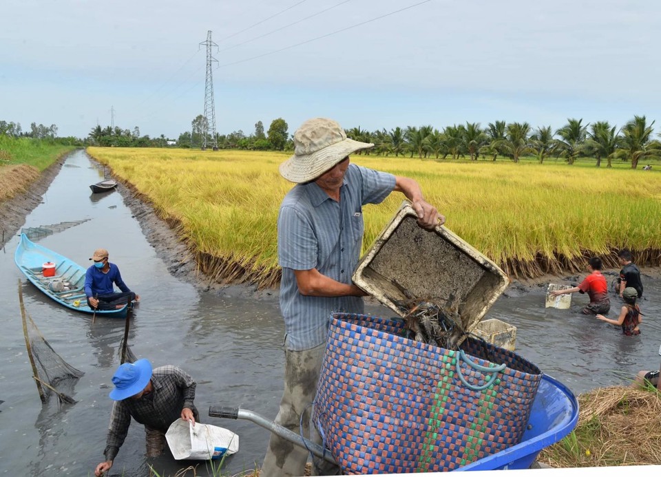 Diễn đ&agrave;n Mekong Startup với chủ đề &ldquo;N&ocirc;ng nghiệp hiện đại, tuần ho&agrave;n, ph&aacute;t thải thấp&rdquo; g&oacute;p phần ph&aacute;t triển nền n&ocirc;ng nghiệp ĐBSCL. Ảnh Hữu Tuấn