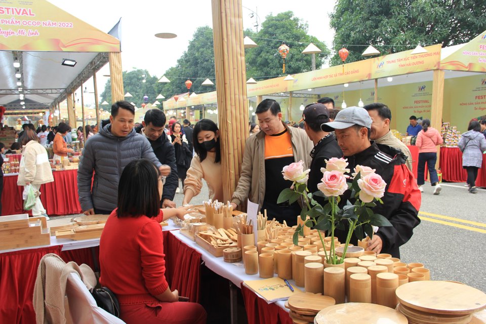 Khai mạc Lễ hội hoa Mê Linh và Festival nông sản, sản phẩm OCOP Hà Nội - Ảnh 4