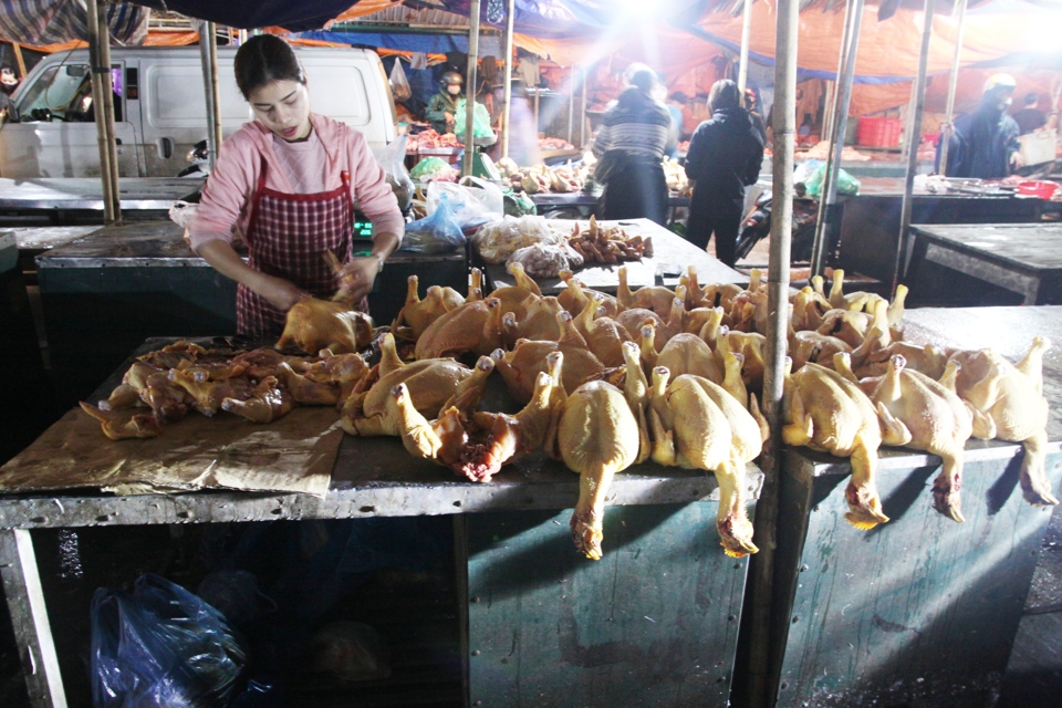 Thịt gia cầm được b&agrave;y b&aacute;n tại chợ đầu mối Minh Khai (quận Bắc Từ Li&ecirc;m). Ảnh: L&acirc;m Nguyễn.