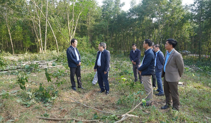 Ph&oacute; Chủ tịch Thường trực UBND tỉnh Quảng Trị H&agrave; Sỹ Đồng (thứ hai tr&aacute;i sang) kiểm tra thực địa tại một khu vực m&agrave; người d&acirc;n đ&atilde; nhận hỗ trợ, b&agrave;n giao mặt bằng.