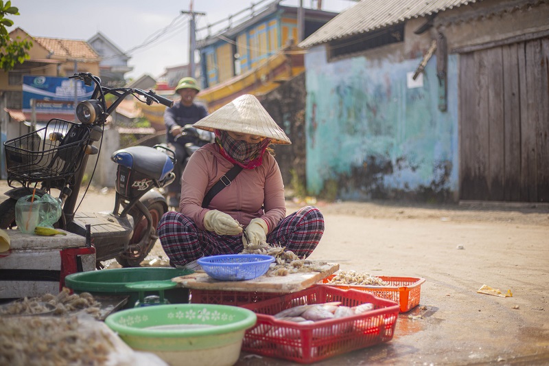 Bên cạnh những chiếc tàu nhỏ vừa cấp bến là hàng trăm tàu công suất lớn đang gác mũi trên bờ, chưa dám vươn khơi vì mấy hôm liền biển động. Một số ngư dân đang tranh thủ sửa sang tàu thuyền, kiểm tra máy móc và ngư lưới cụ.