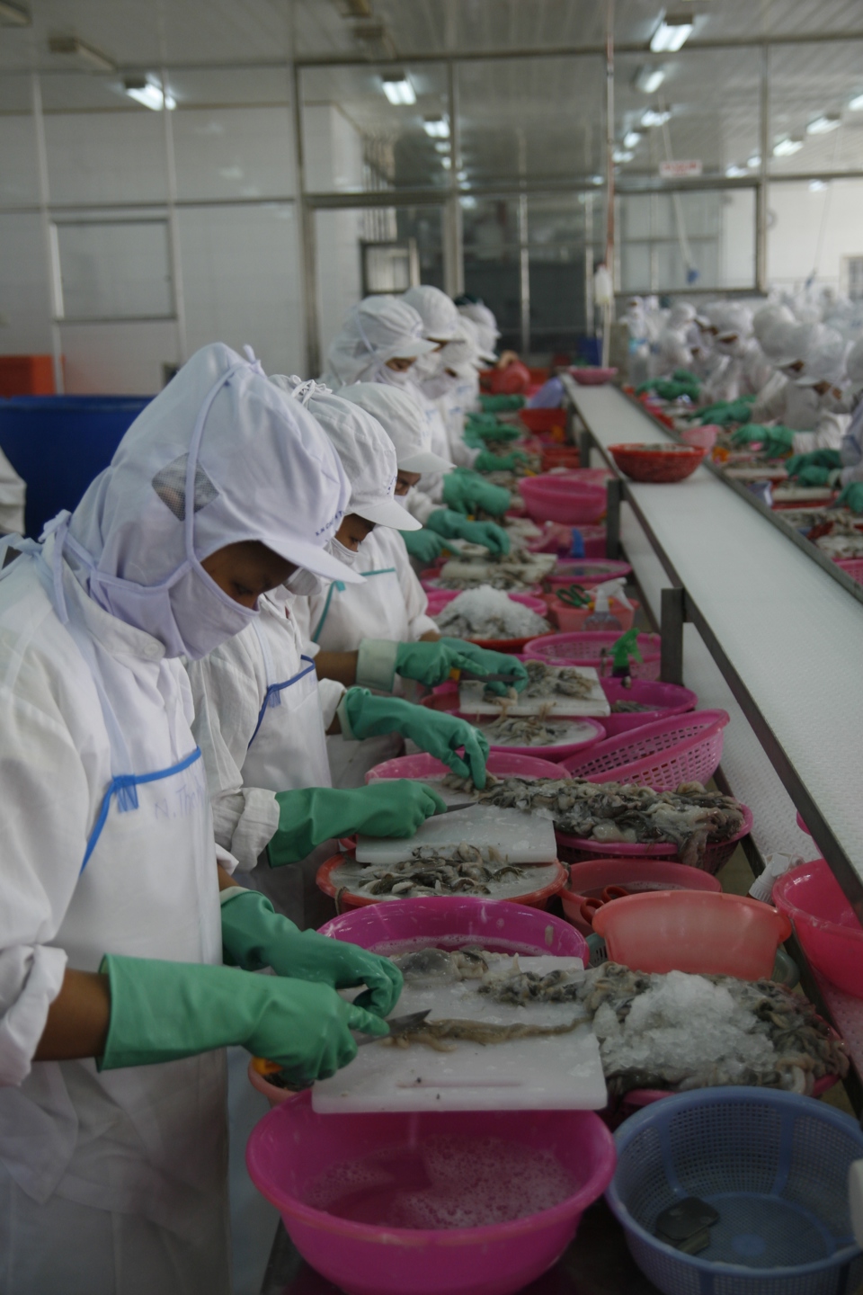 Chế biến thủy sản xuất khẩu tại tỉnh Bà Rịa Vũng Tàu. Ảnh: Phạm Hùng