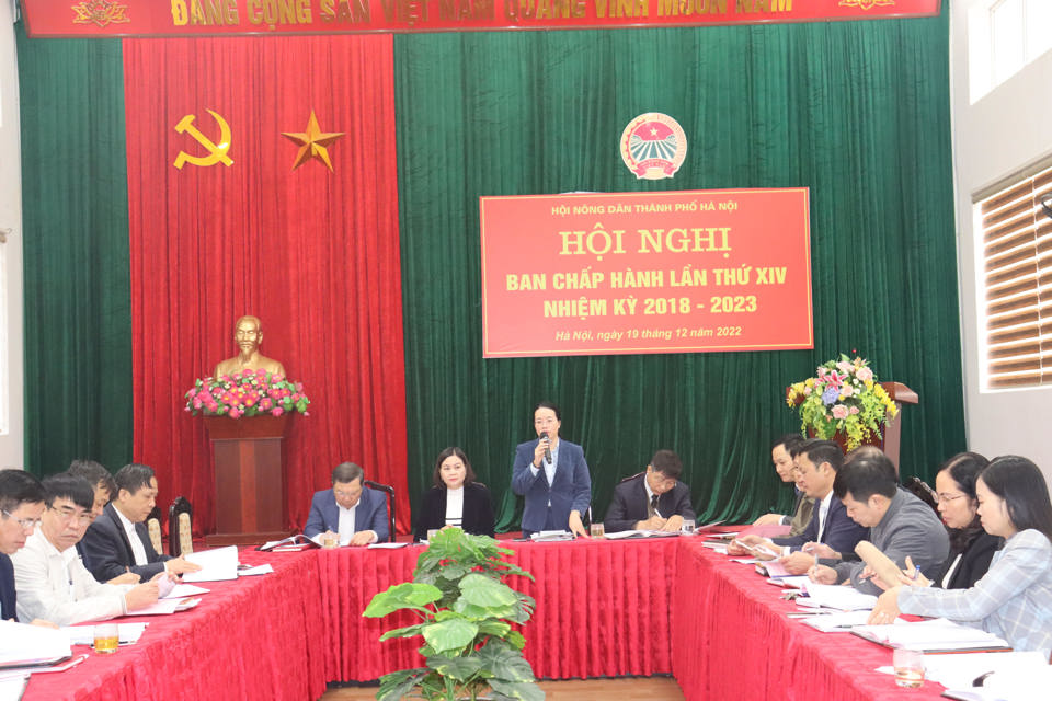 Chủ tịch Hội N&ocirc;ng d&acirc;n TP H&agrave; Nội Phạm Hải Hoa ph&aacute;t biểu tại Hội nghị.