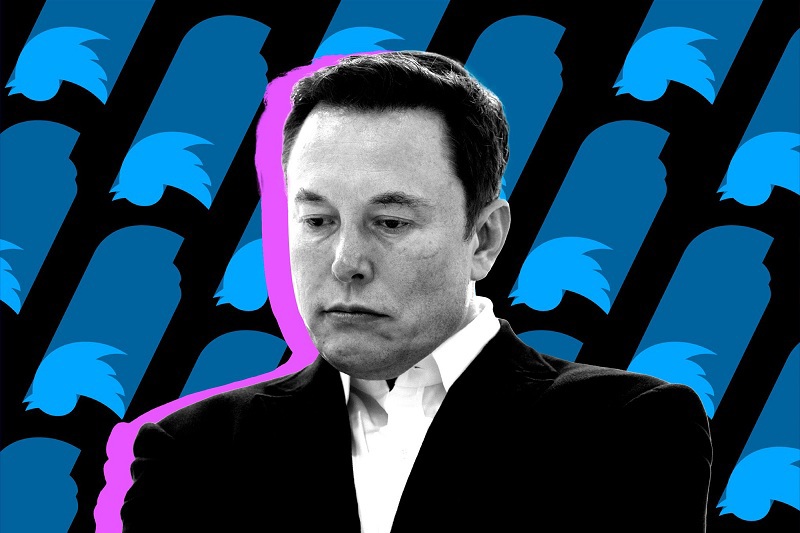 Elon Musk c&oacute; &yacute; định từ chức CEO Twitter?