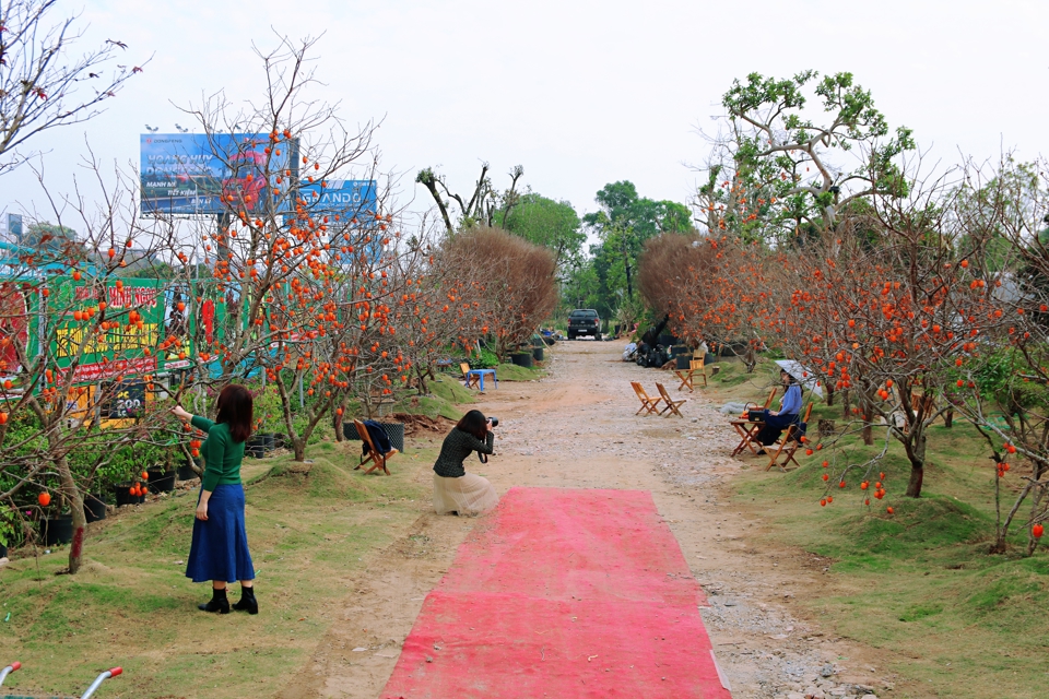 Check-in “vườn hồng Mộc Châu” ngay tại Hà Nội - Ảnh 3