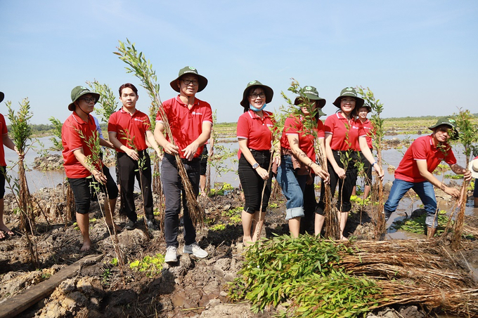 SeABank trao tặng 28.000 cây tràm cừ cho Khu Bảo tồn Đất ngập nước Láng Sen - Ảnh 2