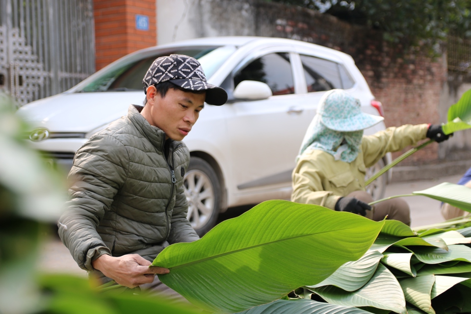 Theo b&agrave; Lan, b&ecirc;n cạnh việc b&aacute;n bu&ocirc;n, b&aacute;n lẻ cho những người c&oacute; nhu cầu ở H&agrave; Nội v&agrave; c&aacute;c tỉnh l&acirc;n cận, l&aacute; dong Tr&agrave;ng C&aacute;t c&ograve;n được xuất khẩu sang nước ngo&agrave;i nhằm phục vụ nhu cầu của người Việt đang định cư tại đ&oacute;.