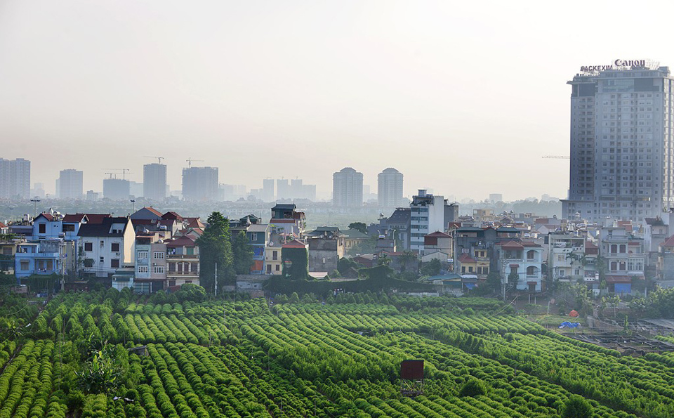 Một v&ugrave;ng đất n&ocirc;ng nghiệp tại huyện Đ&ocirc;ng Anh. Ảnh: Tuấn Anh