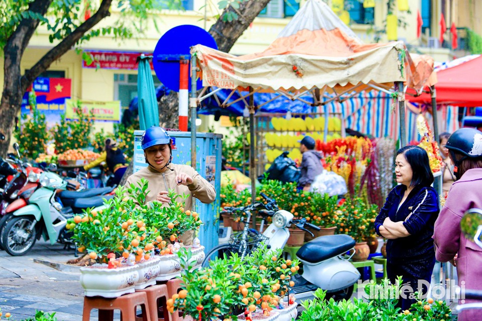 Những ng&agrave;y n&agrave;y, chợ lu&ocirc;n tr&agrave;n ngập m&agrave;u sắc tết cổ truyền nhờ những c&agrave;nh đ&agrave;o Nhật T&acirc;n, quất Tứ Li&ecirc;n v&agrave; đủ loại c&acirc;y hoa, vật phẩm v&agrave; kh&ocirc;ng kh&iacute; sắm Tết...