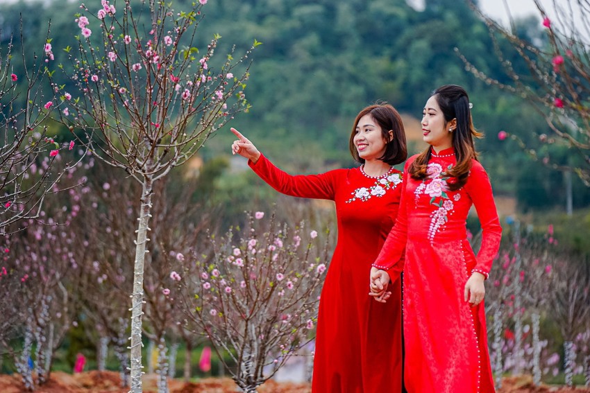 Hoa đào trong tâm thức người Việt, là loại hoa đặc biệt, mang những giá trị văn hóa - tinh thần cũng như đại diện cho sức sống, may mắn và hạnh phúc của người Việt.