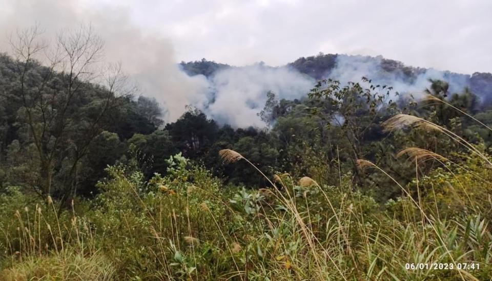 Một vụ cháy rừng xảy ra ngày 6/1/2023 trên địa bàn huyện Sóc Sơn. Ảnh: Lâm Nguyễn