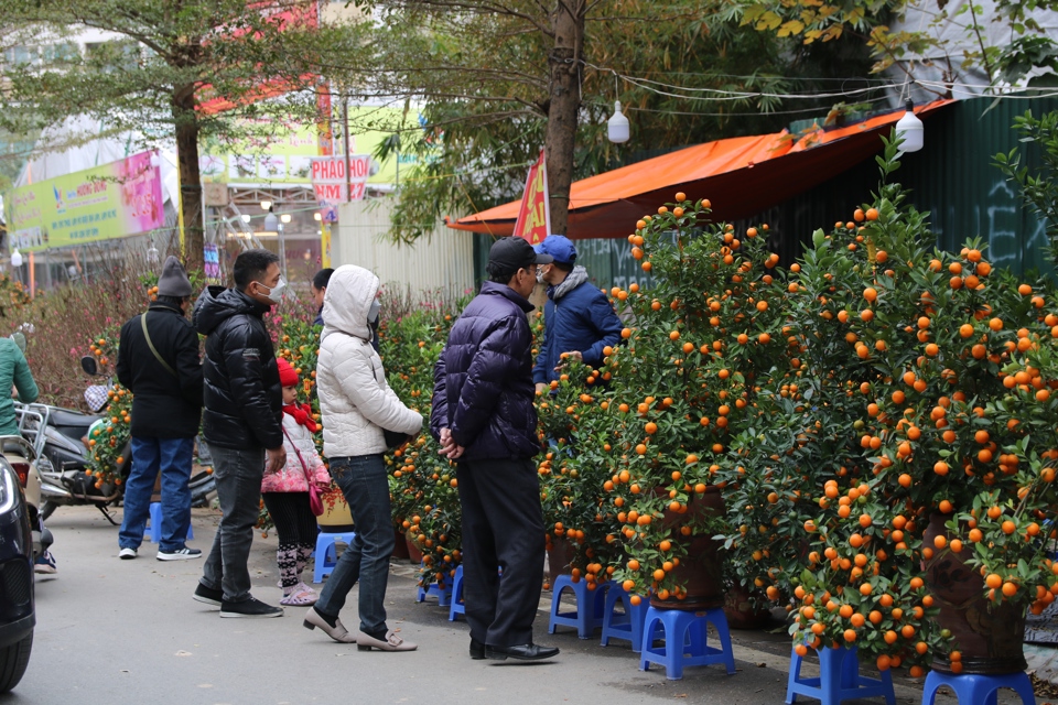 Anh Nguyễn Văn Trường, một tiểu thương tại chợ hoa chia sẻ, thời điểm n&agrave;y anh kh&ocirc;ng b&aacute;n c&acirc;y với gi&aacute; qu&aacute; cao, kh&aacute;ch h&agrave;ng hỏi mua với gi&aacute; ph&ugrave; hợp anh sẽ b&aacute;n ngay.