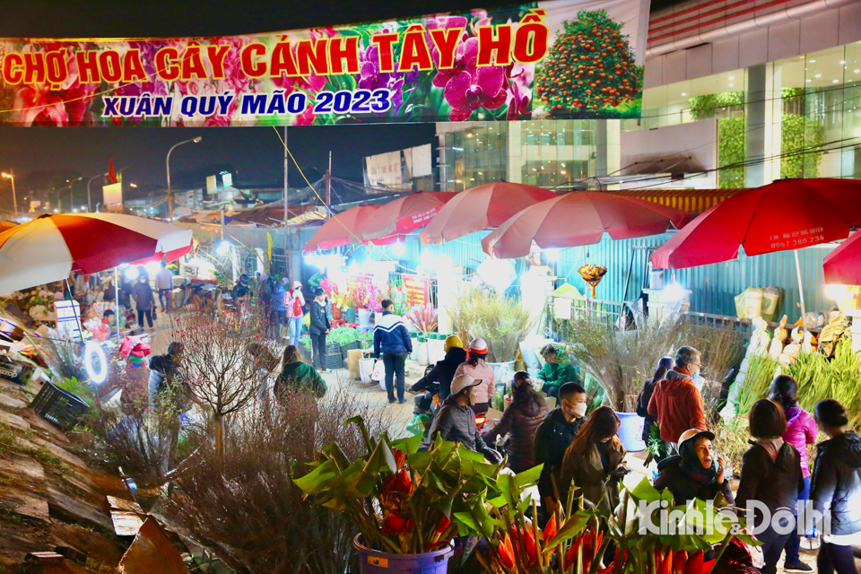 Nhộn nhịp chợ hoa Quảng An ngày cận Tết Quý Mão 2023 - Ảnh 1