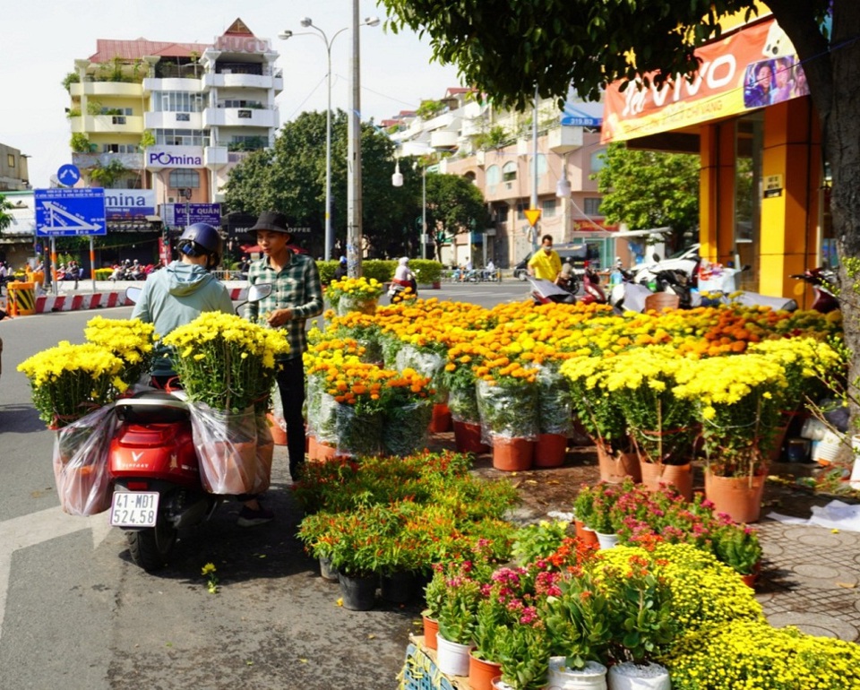 TP Hồ Chí Minh: Chợ hoa tràn ngập sắc màu nhưng vắng khách mua - Ảnh 2