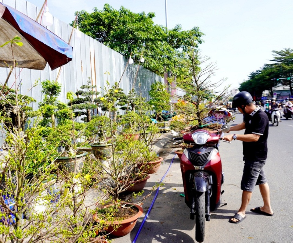 TP Hồ Chí Minh: Chợ hoa tràn ngập sắc màu nhưng vắng khách mua - Ảnh 3