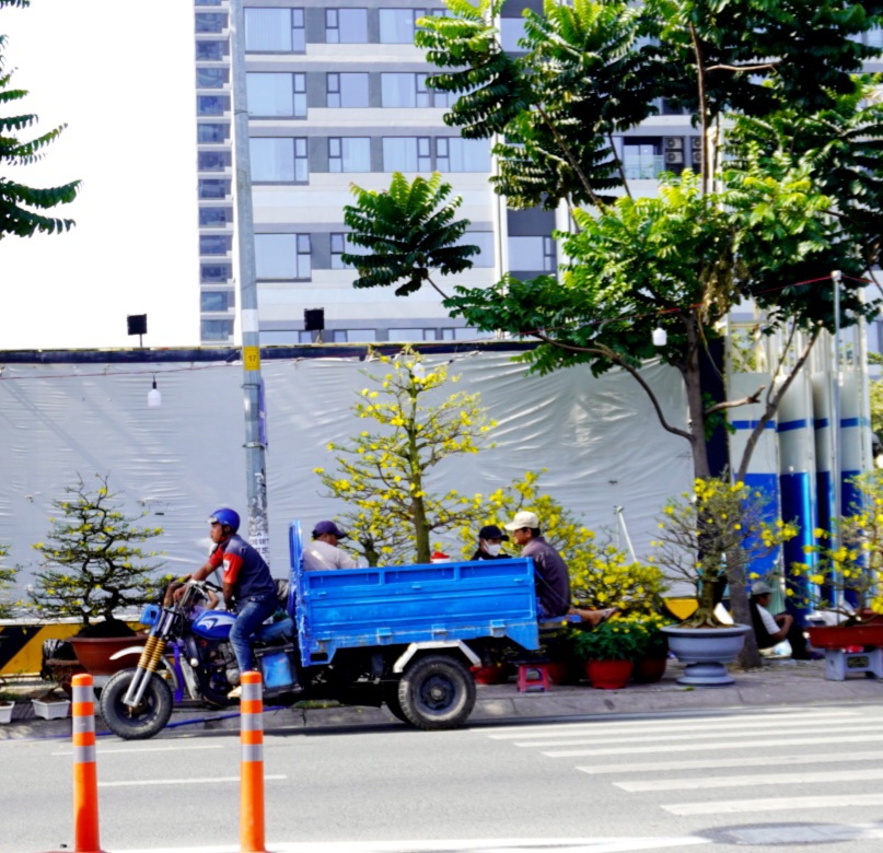 TP Hồ Chí Minh: Chợ hoa tràn ngập sắc màu nhưng vắng khách mua - Ảnh 4